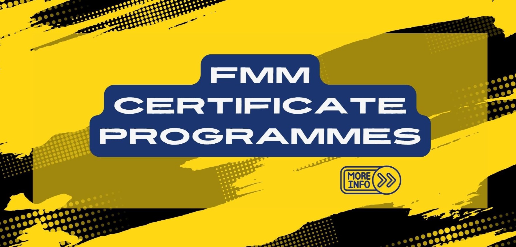 About-FMM-Institute