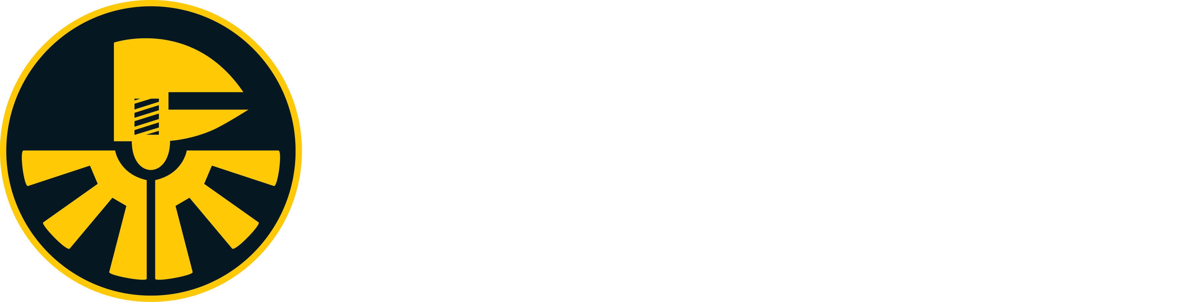 FMM_Institute